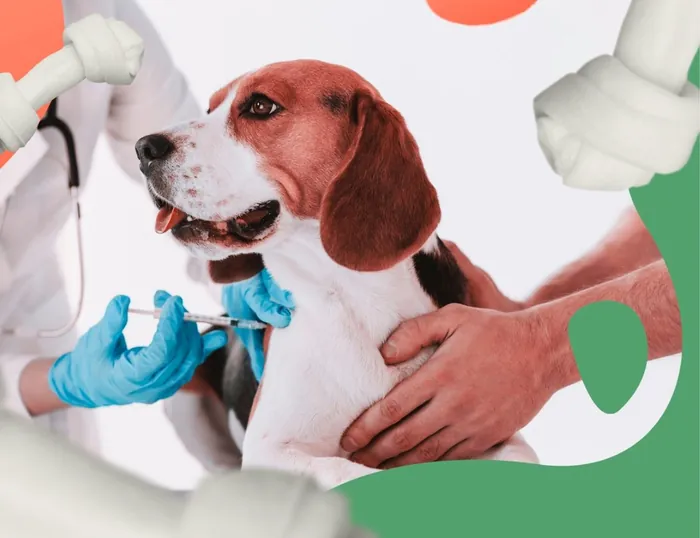 Análises Laboratoriais em Vicente de Carvalho | Guarujá | Hospital Veterinário Made Dog