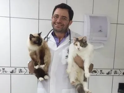 Clínica Veterinária Made Dog em Vicente de Carvalho - foto 12