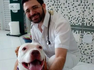Clínica Veterinária Made Dog em Vicente de Carvalho - foto 14