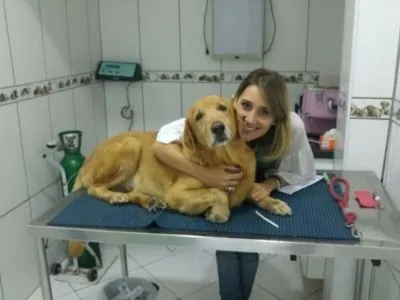 Clínica Veterinária Made Dog em Vicente de Carvalho - foto 3
