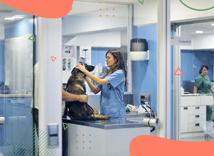 Internação em Vicente de Carvalho | Guarujá | Hospital Veterinário Made Dog
