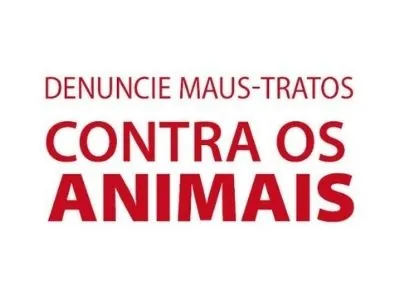 Maus-tratos – Como denunciar