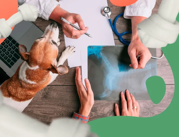 Raio-X em Vicente de Carvalho | Guarujá | Hospital Veterinário Made Dog